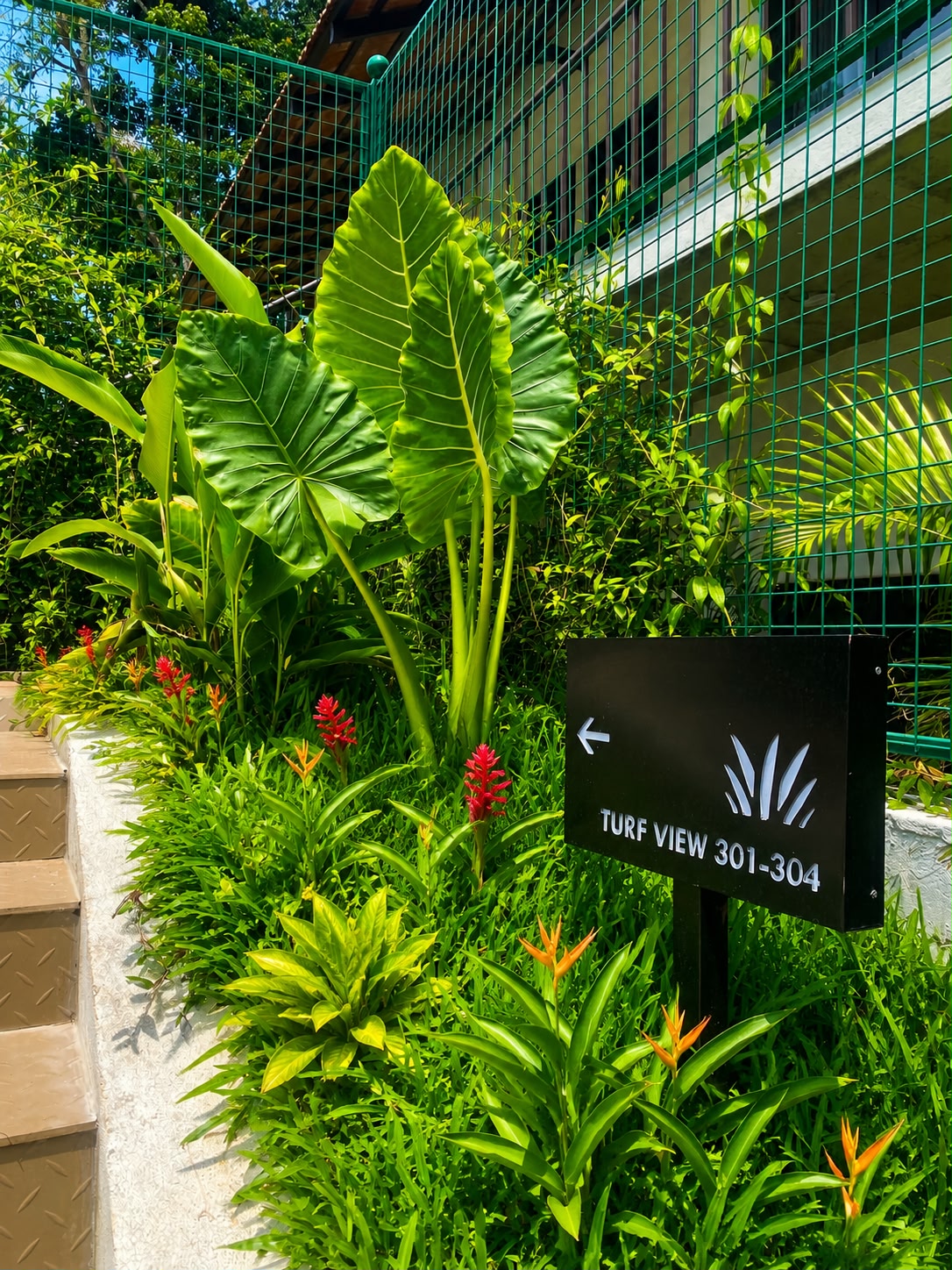 Inside D-Zion Resort